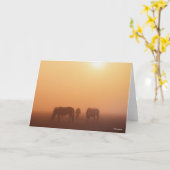 霧の日の出で草を食べるカスピ海のポニー カード (黄色い花)