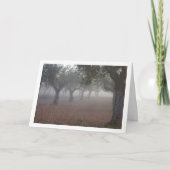霧の朝にオリーブ・ツリー・オーチャード カード (正面)