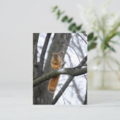 霧の朝のリス ポストカード (スタンド正面)