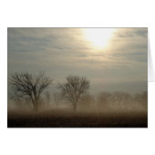 霧の朝 (正面横)