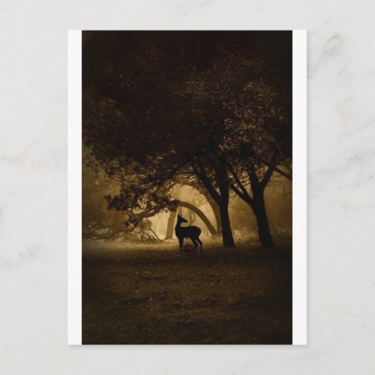 霧の朝 ポストカード (正面)