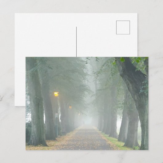 霧の朝 ポストカード (正面/裏面)