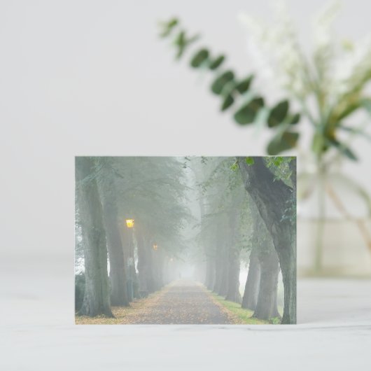 霧の朝 ポストカード (スタンド正面)