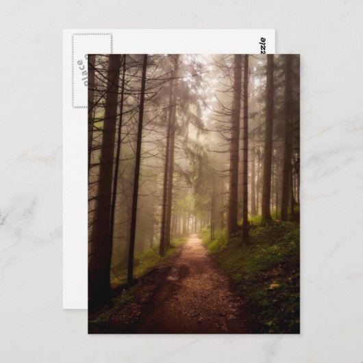 霧の木立ちの小道 ポストカード (正面/裏面)