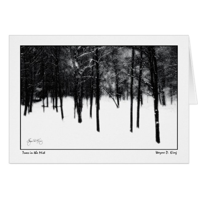 霧の木 (正面横)