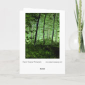 霧の木:アディロンドラックの森のシーンの変更された写真 カード (裏面)