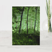 霧の木:アディロンドラックの森のシーンの変更された写真 カード (正面)