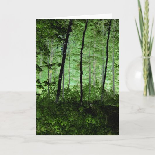 霧の木:アディロンドラックの森のシーンの変更された写真 カード (正面)