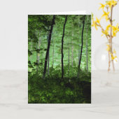 霧の木:アディロンドラックの森のシーンの変更された写真 カード (黄色い花)