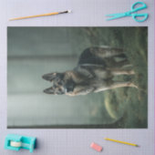 霧の森でドイツのシェパードを切り離す 薄葉紙 (クラフト)