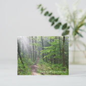 霧の森の小道（城山） ポストカード (スタンド正面)