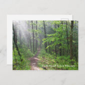 霧の森の小道（城山） ポストカード (正面/裏面)