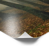 霧の森の秋の眺め、祖父3 フォトプリント            (角)