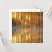 霧の森の風景 カード (正面/裏面インサイチュ)