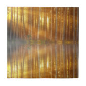 霧の森の風景 タイル (正面)