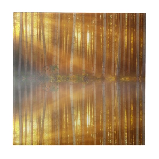 霧の森の風景 タイル (正面)