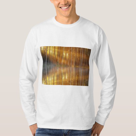 霧の森の風景 Tシャツ (正面)