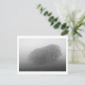 霧の森：チェシャ（イギリス） ポストカード (スタンド正面)