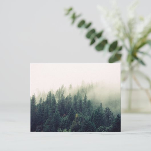 霧の森 ポストカード (スタンド正面)