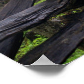 霧の深い朝のホームステッド ポスター (角)