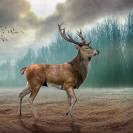 霧の深い森の中の一人の鹿 キーホルダー