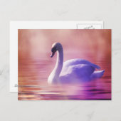 霧の深い湖に浮かぶ白い白鳥 ポストカード (正面/裏面)