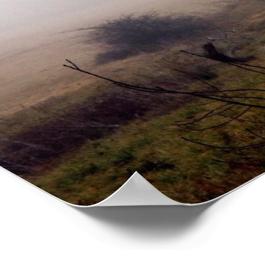 霧の深い牧草地の冬の木#2 ポスター (角)