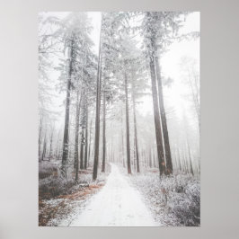 霧の立つ森の中の神秘的凍っていな道 ポスター