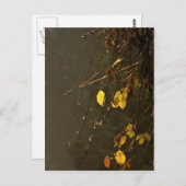 霧の葉深い秋の日の黄色い ポストカード (正面/裏面)
