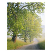 霧の覆われた道路、カデス入りコーブスモ素晴らしキー フォトプリント (正面)