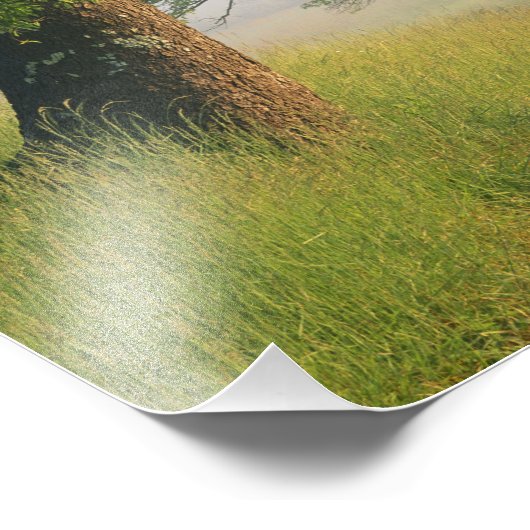 霧の覆われた道路、カデス入りコーブスモ素晴らしキー フォトプリント (角)