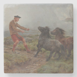 霧の高い高原の風景の中の2つのシェトランドポニー ストーンコースター