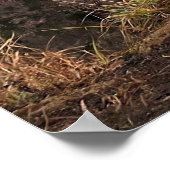 霧めい想の中のマカク ポスター (角)