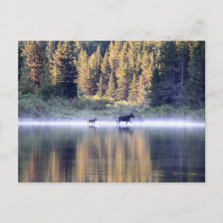 霧を越えて ポストカード