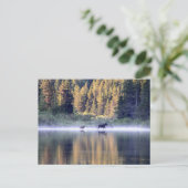 霧を越えて ポストカード (スタンド正面)