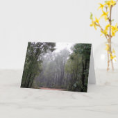 霧及びEucalypts カード (黄色い花)