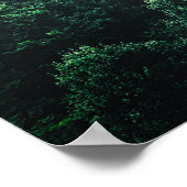 霧救の森の写真で木の酸素 ポスター (角)