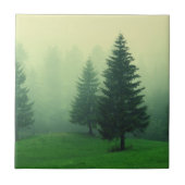 霧深いマツ森林 タイル (正面)