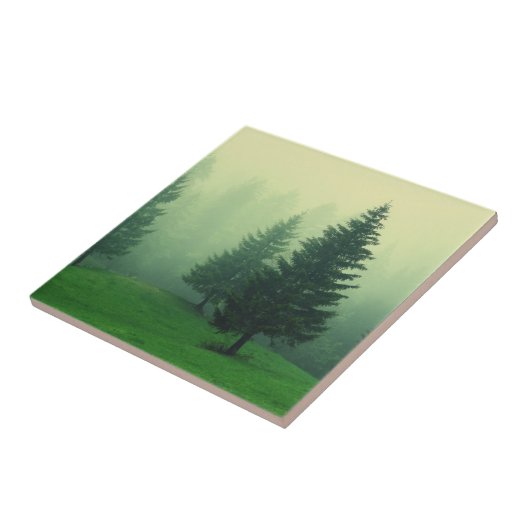 霧深いマツ森林 タイル (側面)