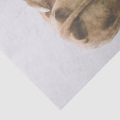 霧深い分野を見る白い牛Bull 薄葉紙 (詳細)