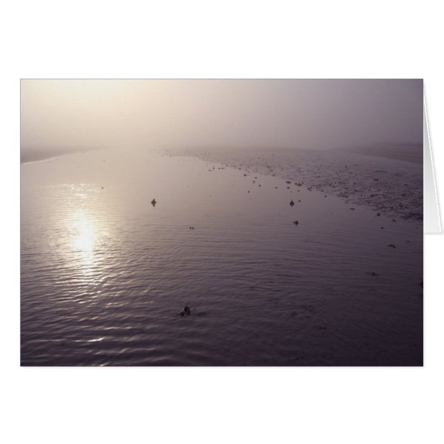 霧深い日没 (正面横)