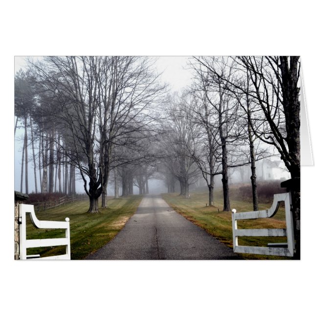 霧深い朝の歓迎 (正面横)