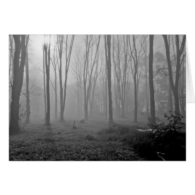 霧深い朝 (正面横)