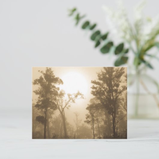 霧深い森林セピア色-郵便はがき ポストカード (スタンド正面)