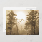 霧深い森林セピア色-郵便はがき ポストカード (正面/裏面)