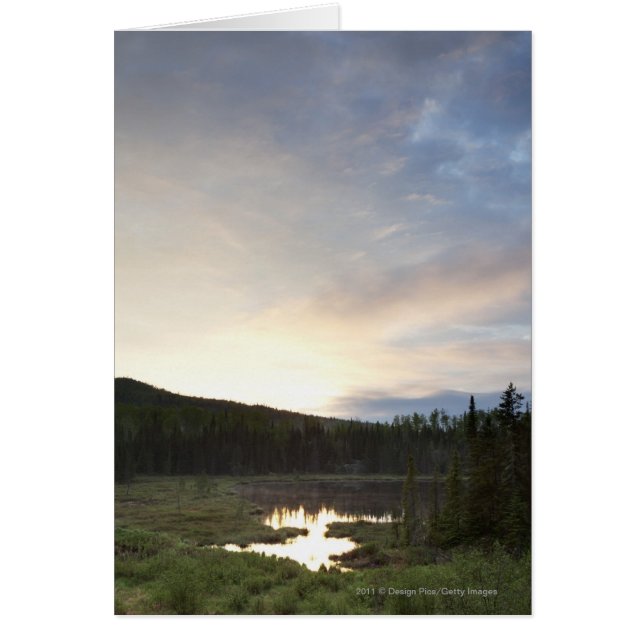 霧深い池上の日没 (正面)