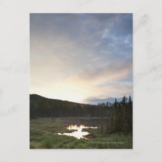 霧深い池上の日没 ポストカード (正面)