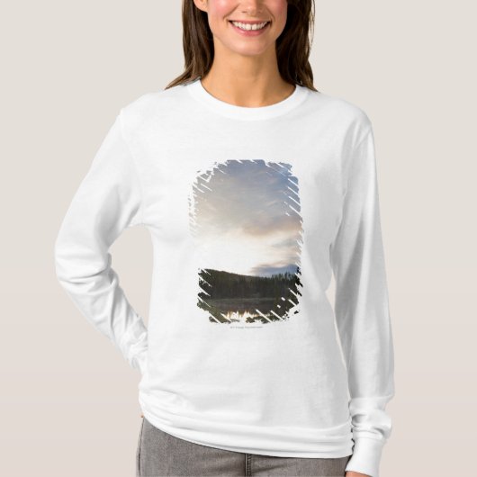 霧深い池上の日没 Tシャツ (正面)