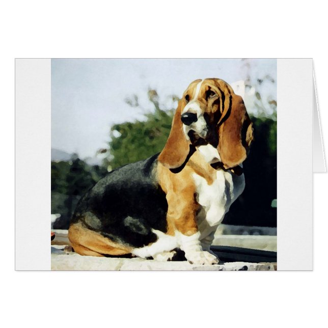 霧深い (正面横)