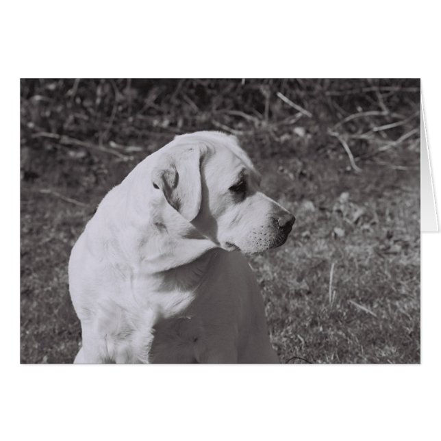 霧深いII (正面横)